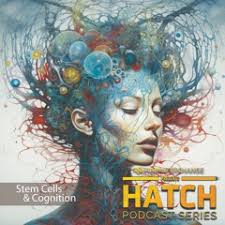 Stream episode #27: John Bielenberg- Think Wrong by I Am Interchange  podcast