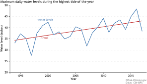 The Sea Level Threat Exemplified By Miami And Venice Book