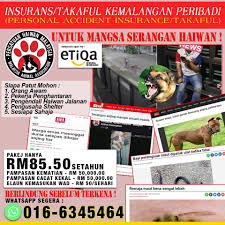 Malah, pasukan menangkap anjing dbku turut diminta untuk menangkap anjing terbiar di luar kawasan dbku seperti di kawasan serian, tebedu, siburan , batu 10 dan semeba menerusi operasi bersepadu bermula 14 julai yang lalu, katanya dalam satu kenyataan akhbar hari ini. Persatuan Haiwan Malaysia Malaysia Animal Association Posts Facebook