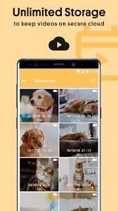 Alfredcamera home security app es una aplicación desarrollada por alfred systems inc. Free Download Security Camera Caregiver Video Monitor Alfred Apk For Android