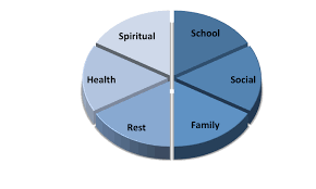 Check My Balance On My Chase Debit Card Life Balance Pie Chart