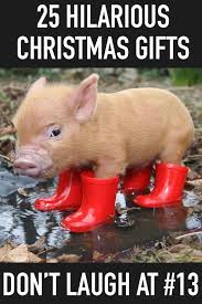 We Dove Into The Internet And Uncovered 25 Must See Christmas Gift Ideas Don T Laugh At 13 Funny Pigs Funny Pig Pictures Pig Memes