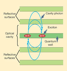 Light and matter can be so strongly linked that their characteristics become indistinguishable. Half Matter Half Light Amplifier Nature