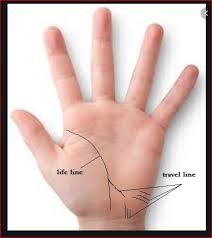 We did not find results for: If You Have This Line In Your Hand Then You Will Travel Abroad Newstrack English 1