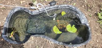 You can also find a few uv. How Can I Improve This 120 Litre Outdoor Pond I Have A Solar Filter Solar Airpump A Few Plants And Lovely Little Snails A Few More Plants Are In The Way What
