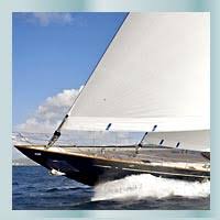 Image result for erica xii