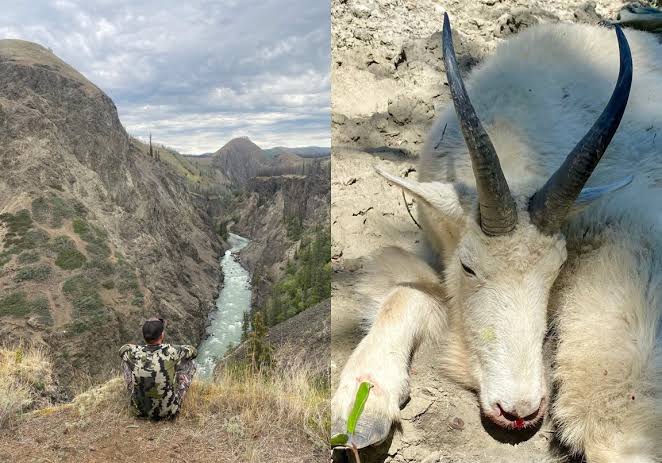 The World Record Mountain Goat | Outdoor Life