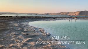 We provide reliable and convenient airport parking at salt lake city. Salt Lake Abu Dhabi Al Wathba Salt Lake In Dessert Cook With Umme Arshman Youtube
