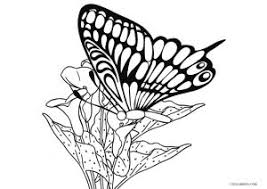 Printable flowers and of butterflies for adult art therapy coloring page. Printable Butterfly Coloring Pages For Kids