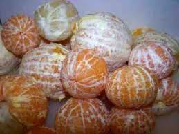 Image result for canned citrus