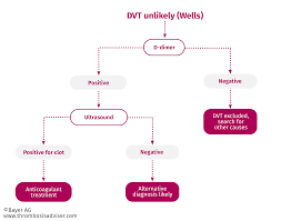 Deep Vein Thrombosis Diagnosis Risk Assessment