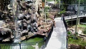Namun, sejak tahun 2010 gembira loka zoo mulai merehabilitasi . Kebun Binatang Bukittinggi Kini Punya Taman Burung Terbesar Di Indonesia