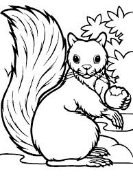 Or else, do online coloring directly from your tab, ipad or on our web feature for this big smile squirrel coloring page. 20 Squirrel Coloring Pages Ideas Squirrel Coloring Page Coloring Pages Squirrel