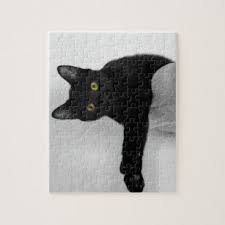 Gustav's cat is from her series of paintings set in vienna. Black Cat Jigsaw Puzzles Zazzle