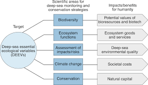 Little or no light penetrates this part of the ocean. Ecological Variables For Developing A Global Deep Ocean Monitoring And Conservation Strategy Nature Ecology Evolution