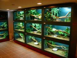 Pin On Diy For The Reptile Hobbyist