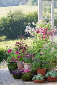 How To Plant In Pots And Containers Part 3 Summer Container Gardening Summer House Ga Container Gardening Flowers Container Gardening Summer House Garden