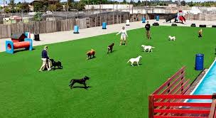 Dogs and lawn grass do not mix well. How To Create An Amazing Outdoor Play Area For Your Dog Buy Install And Maintain Artificial Grass