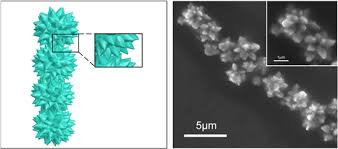 Plus your entire music library on all your devices. High Performance Magnetorheological Fluids With Flower Like Cobalt Particles Iopscience