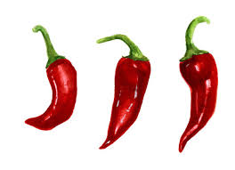 Chili Pepper Drawing Photos Royalty Free Images Graphics Vectors Videos Adobe Stock Besides the fact, that you will have better quality of artwork after scaling it down, maybe some day you. chili pepper drawing photos royalty