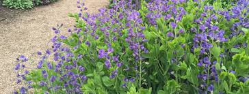 Gardener's supply coupons for october 2020 tested and 100% working lll 15% off your order + many more promo codes → copy paste save. 50 Off Gardener S Supply Coupons Back To School Sale