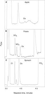 Estimation Of The Oxalate Content Of Foods And Daily Oxalate