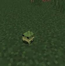 Pin By Tree On Vabki Cute Frogs Frog Cute Memes