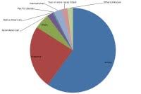 Uga Ethnic Diversity Pie Chart Racial And Ethnic