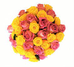 Our products include roses, petals, hydrangeas, callas, lilies, eucalyptus, garlands, mums, carnations, baby's breath, peonies, anemones, hardgoods +more! Amazon Com 50 Mother S Day Farm Fresh Yellow And Pink Roses Bouquet By Justfreshroses Long Stem Fresh Yellow And Pink Rose Delivery Farm Fresh Flowers Grocery Gourmet Food