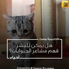 Pin On Photos From الأكاديمية بوست