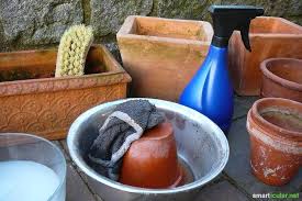6 Clevere Anwendungen Fur Natron Im Garten Hausmittel Winterfest Machen Und Pflanzen