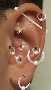 Image result for Ear Piercing