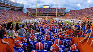 Image result for gator football