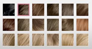 22 rational nice n easy blonde colour chart