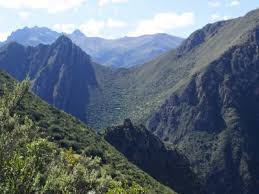Maybe you would like to learn more about one of these? Andes Program Instituto De Montana