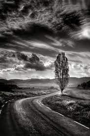 Sign In White Photography Black And White Landscape Black And White Photographs