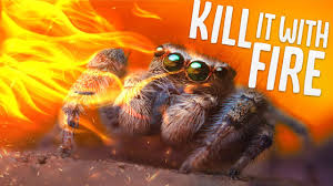 Distracted by a white privilege spider in your burning house. Spiders Have Taken Over My Home So I Burned Everything Spider Hunting Horror Kill It With Fire Youtube