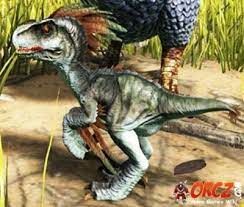 Ark Survival Evolved Baby Raptor Orcz Com The Video Games Wiki
