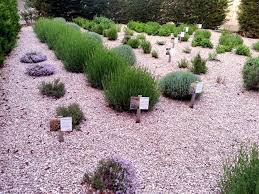 On the Menu: Fresh Herbs Grown in Paradores Gardens | Paradores