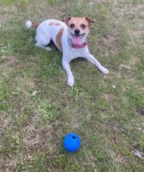 Title Recognition Spring 2024