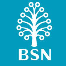 Bsn is now offering personal loan to private sector personnel however with strict selection of companies. Personal Loan With Bsn Home Facebook