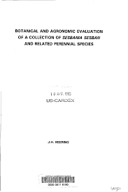 Image result for Sesbania keniensis