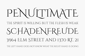 Use the charts for reference when they do copywork. Cinzel Decorative Font Wild Country Fine Arts