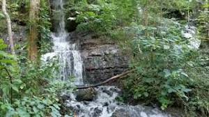 Maybe you would like to learn more about one of these? Blue Hole Trail At Rock Island State Park 8 17 Youtube