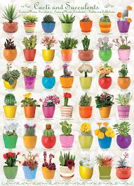 Maybe you would like to learn more about one of these? Cacti And Succulents 1000 Pieces Eurographics Puzzle Warehouse