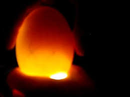 How To Candle Goose Eggs Various Ages Candled Plus A Bad Egg Candling
