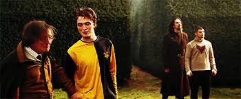 This is another great scene for harry potter. Why Cedric Diggory Deserves Better Than Cursed Child Mugglenet