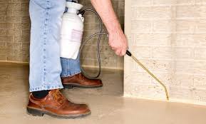 You should look to see what companies operate in your county, and whether or not they can get to your home quickly. Beachside Termite And Pest Control Brevard County Fl Groupon