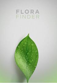 We did not find results for: Flora Finder About Botany Department Of Botany University Of Otago New Zealand