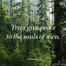 Pin On Quotes Sayings Other Truths